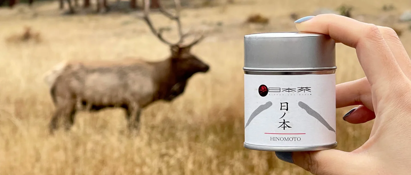 Authentic Japanese Tea, Perfected.